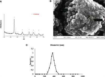 Effects of Titanium Dioxide Nanoparticles on Porcine Prepubertal Sertoli Cells: An “In Vitro” Study